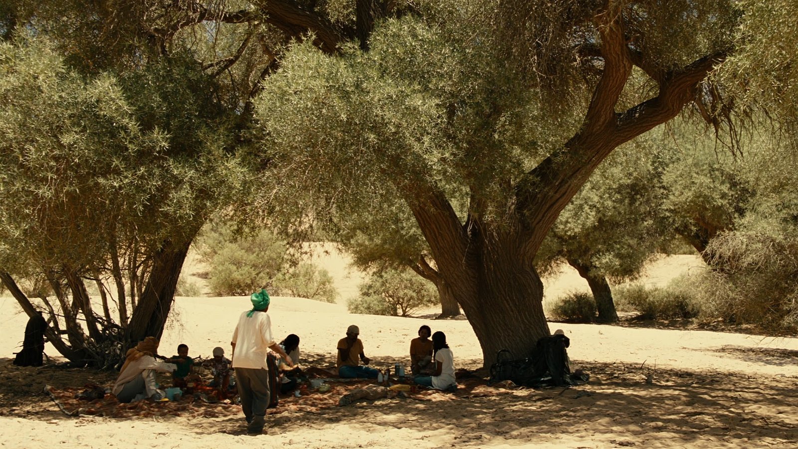 Lunch on rugs in the dappled shade of acacia trees at a small desert oasis