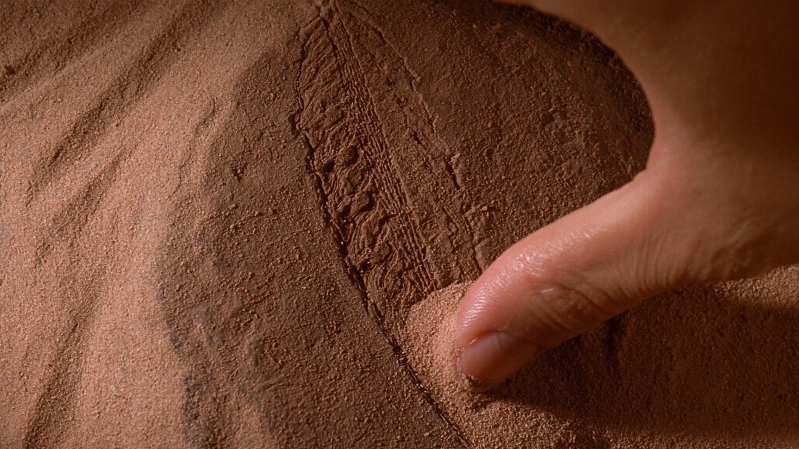 A hand brushing sand off ancient fossilized marine life embedded in desert rock