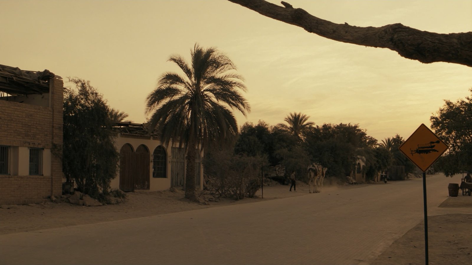 Zagora's palm-lined desert-edge streets at dusk, gateway to the Sahara
